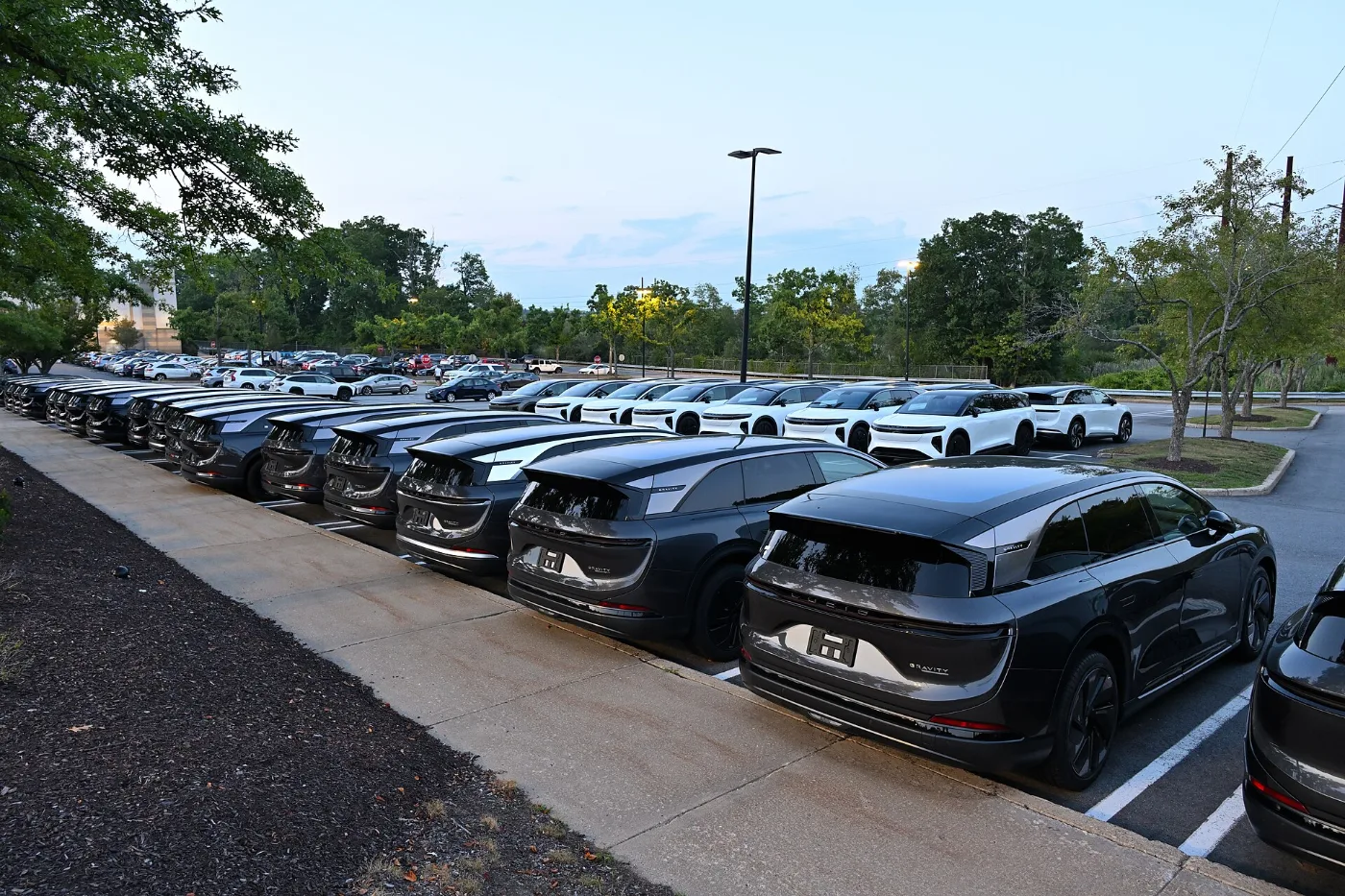 Fila de carros nuevos estacionados en el lote de un dealer mientras sus registros siguen en trámite