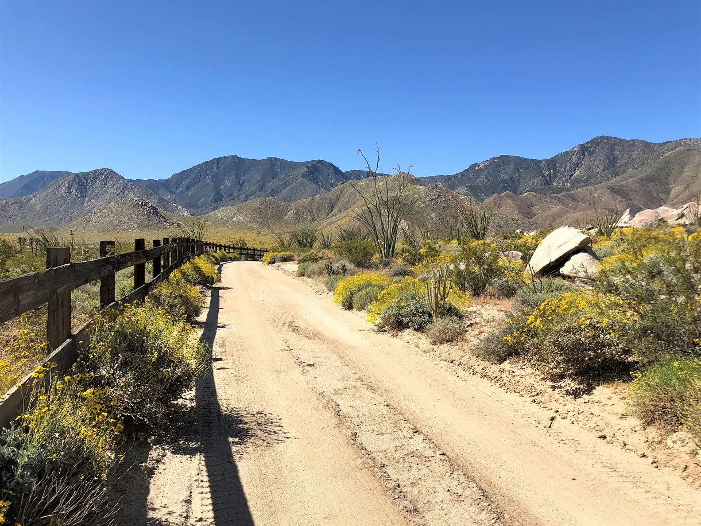Calles de El Centro, California: placa temporal registrada con agentes y dealers licenciados ante el DMV